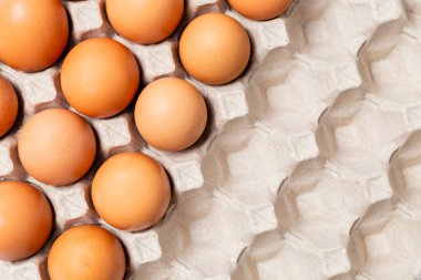 Karton kutuda tavuk yumurtası ve fotokopi alanı, yumurta protein içerir..