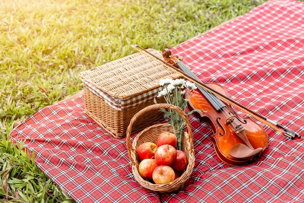 Picnic basket fruit bakery and violin on red cloth in garden, copy space.