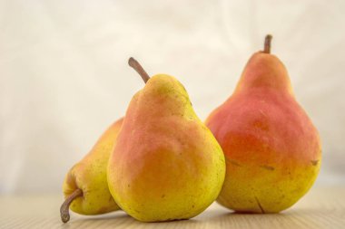 armutlar beyaz arkaplanda