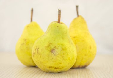 armutlar beyaz arkaplanda