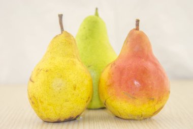 armutlar beyaz arkaplanda