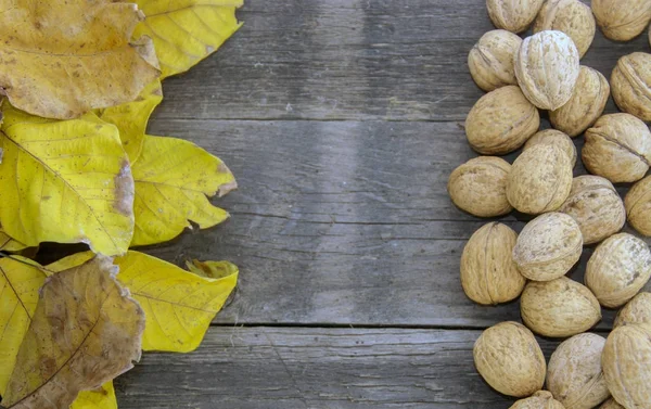 Noix et feuilles sèches sur une base en bois — Photo