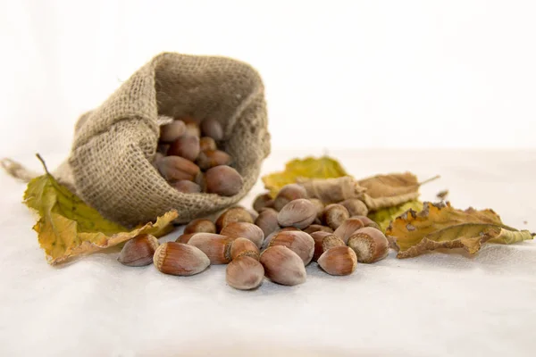 Noisettes et feuilles sèches dans un sac rustique sur fond blanc — Photo