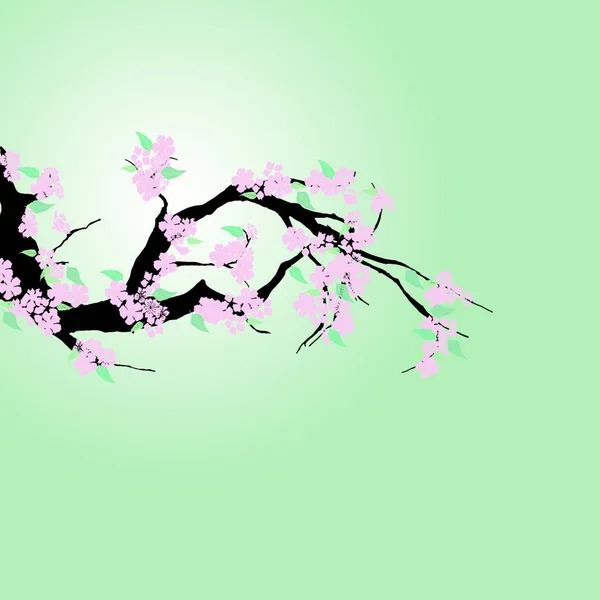 Cseresznyevirág Rózsaszín Virágok Ágon Zöld Levelek Világoszöld Háttérrel Illusztráció — Stock Fotó