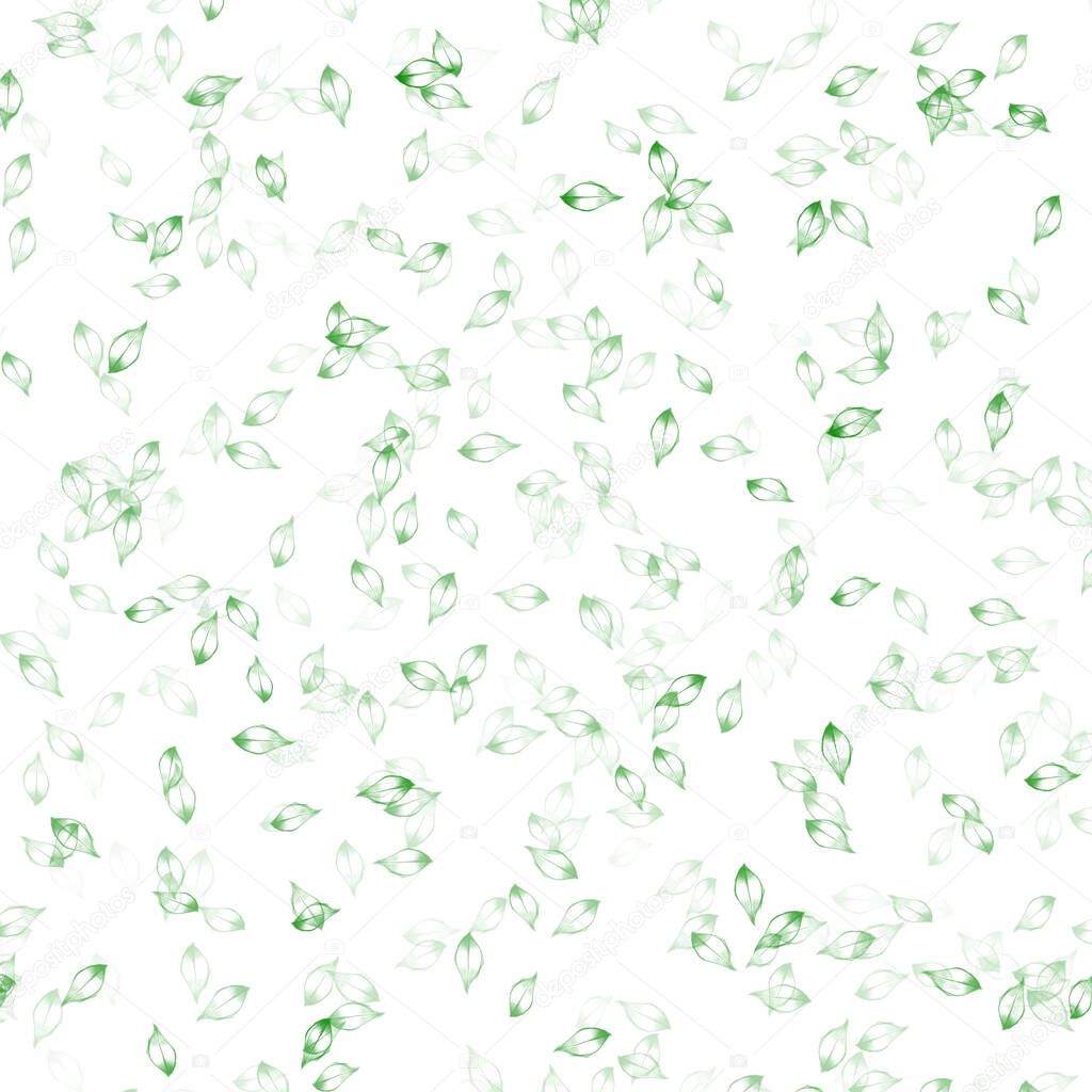 Small, green leaves on a white background are repeated. Floral seamless pattern.