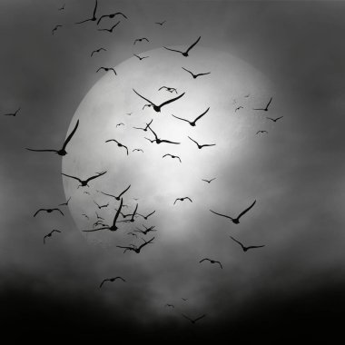 Siyah beyaz çizim. Ay, bulutlar ve kuşlar.