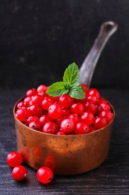 Kızılcık bakır kova