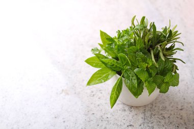 Yeşil nane, biberiye, maydanoz, fesleğen  