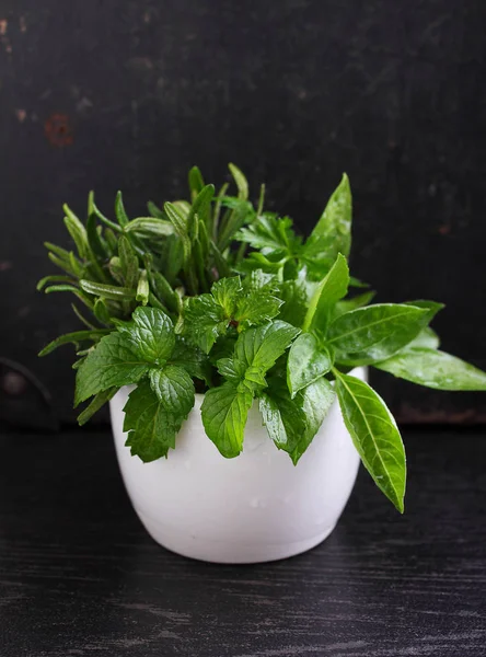 Yeşil nane, biberiye, maydanoz, fesleğen  