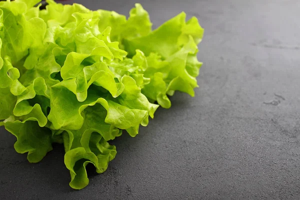 Зелене листя салату — стокове фото