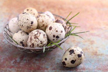 Bıldırcın yumurtası paslı masada demir kapta yığını