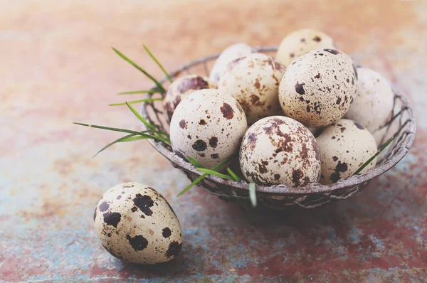 Pile of quail eggs in iron bowl on rusty table
