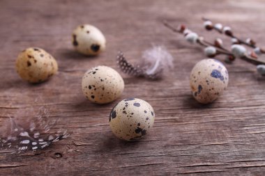 Bıldırcın yumurta tüylü ahşap arka plan üzerinde kapat
