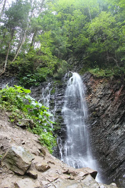 Scenic View High Waterfall Green Forest — Stock Photo, Image