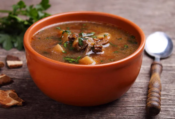 Forest Mushroom Soup Herbs Clay Bowl Dark Background — Stock Photo, Image