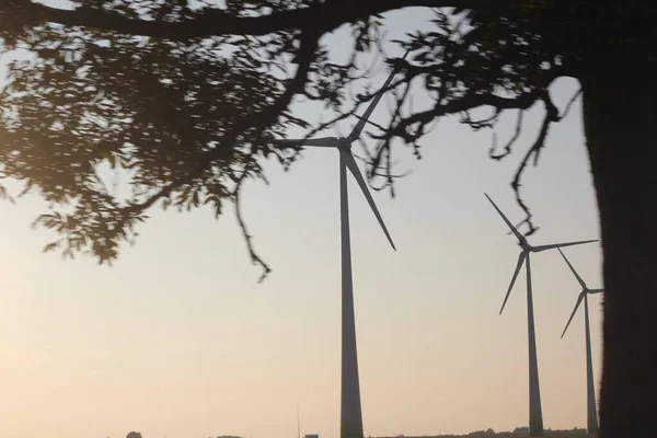 Yel değirmenleri, günbatımında rüzgar türbinleri
