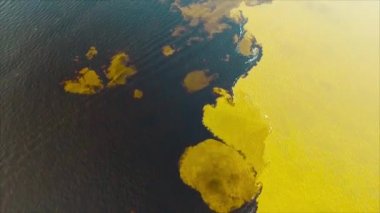Black River 'da suyun buluşması - Encontro das aguas em Manaus - Am - 2018
