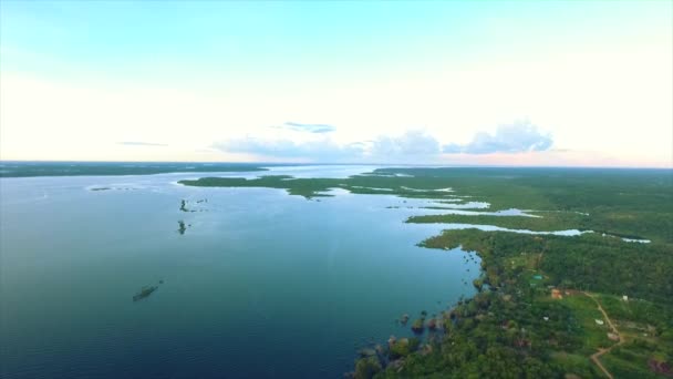 Negro Río Escena Aérea Amazon — Vídeos de Stock