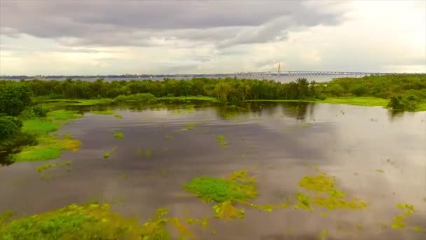 Μαύρο Ποτάμι Εναέρια Σκηνή Στο Αμαζόνιο Μαύρη Γέφυρα Του Ποταμού — Αρχείο Βίντεο