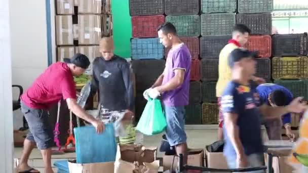 Pauvres Hommes Travaillant Foire Panair Manaus Amazonas Brésil — Video