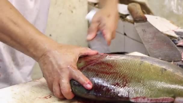 Muž Řezání Nožem Tambaqui Ryby Panair Veletrhu Manaus Amazonas — Stock video