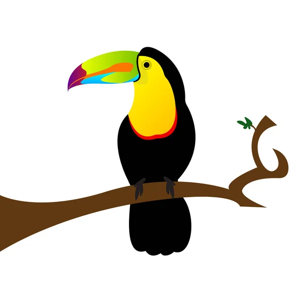 Toucan Warna Warni Duduk Cabang Terisolasi Pada Latar Belakang Putih - Stok Vektor