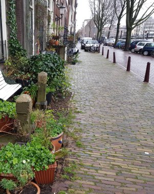 Amsterdam 'da bir caddedeki evin ön cephesinde saksılarda, saksılarda, evlerde, caddelerde, Hanseatik tarzında, Amsterdam' da, kışın, cephelerde, pencerelerde, 