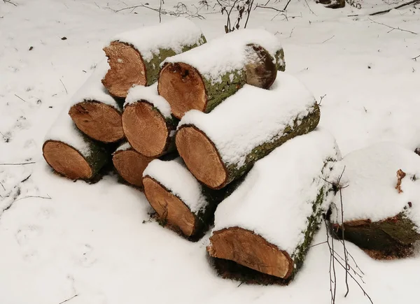 Result Cleaning Forest Sawn Tree Trunks Stacked Piles Taken Out — Stockfoto