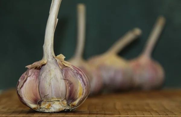 Started head of garlic on a background of three whole