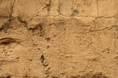 Çatlak ve yosunlu pembe boyayla boyanmış eski beton duvar.