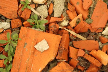 Kırık kırmızı tuğla ve ilk yeşil