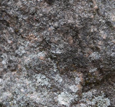 Limonlu sert granit yüzey.