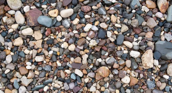 Wet Multi Colored River Pebbles Spring — Stock Photo, Image