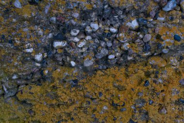 Eski beton bir levhanın yüzeyi, üzeri liken boyasıyla kaplı.