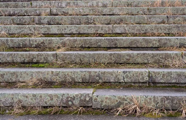 Escaleras Granito Cubierto Hierba Musgo Líquenes —  Fotos de Stock