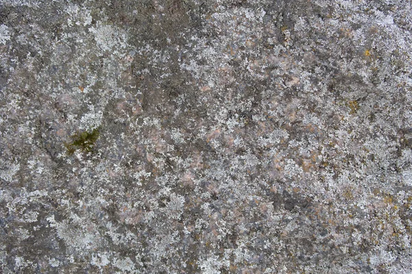 Ruwweg Behandeld Oppervlak Van Een Oud Roodachtig Granietblok Bedekt Met — Stockfoto