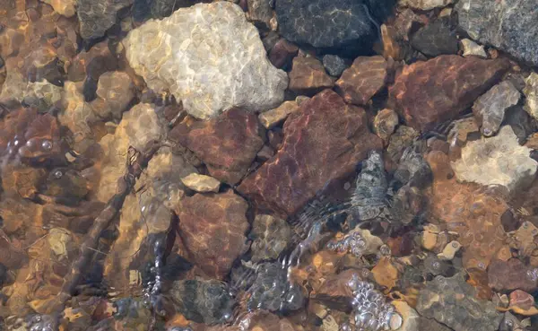 Rotsachtige Bodem Van Rivier Bij Kust — Stockfoto