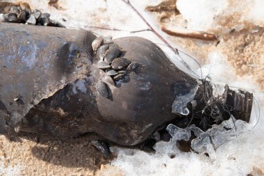 Nehir kumu üzerinde yapışkan kabukları olan eski plastik şişe.