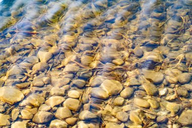 Temiz suyla gölün dibi sallanıyor.