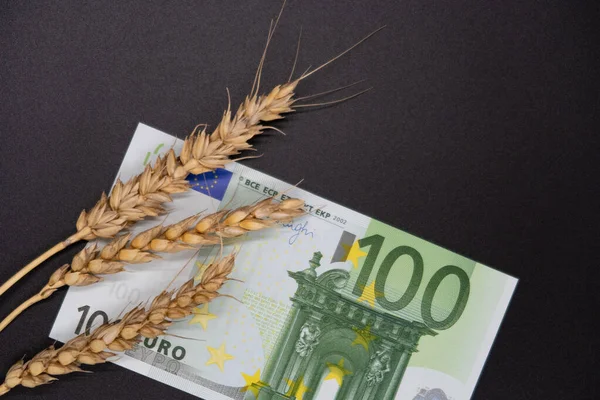 Avrupa 'da 100 avroluk banknotun üzerinde üç kuru buğday kabı, tahıl ihracatı, dünya gıda krizi ve virüs yatıyor.