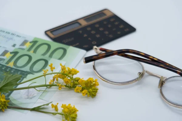 Cem Notas Euro Óculos Calculadora Flor Amarela Orçamento Familiar Freelancer — Fotografia de Stock