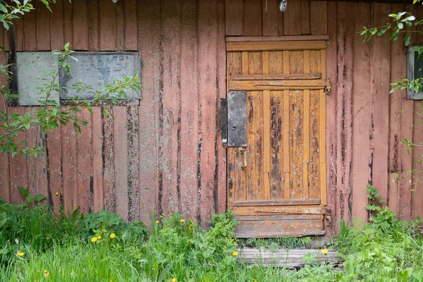 Стіна Старого Сараю Дерев Яні Двері Трава — стокове фото