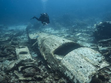 Airplane wreck as part of coral reef in Caribbean Sea around Curacao with blue background and diver