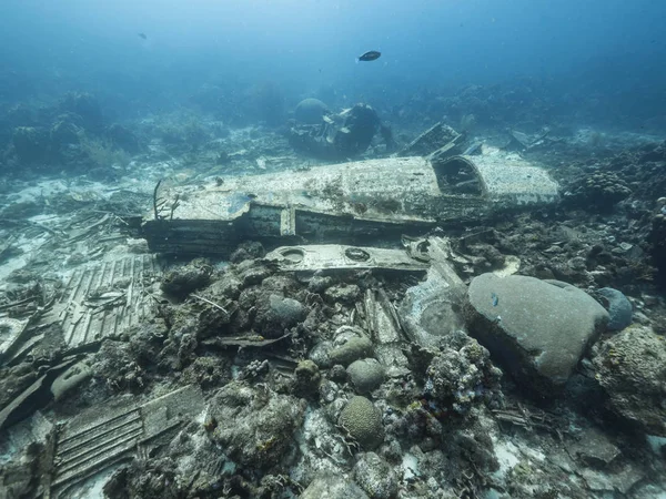 Elvin\'s Plane Wreck in coral reef of Caribbean sea around Curacao