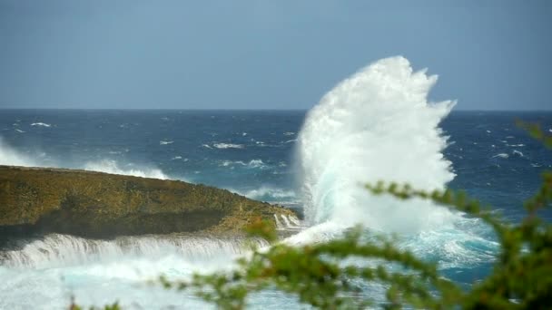 Seaside scenery of Caribbean Sea around Curacao with great waves in slow motion — ストック動画