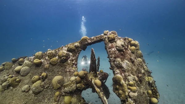 Diver Ship Wreck Black Sand Wreck Coral Reef Caribbean Sea — Stockfoto