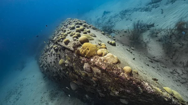 Fartygsvrak Black Sand Vrak Korallrev Karibiska Havet Runt Curacao — Stockfoto