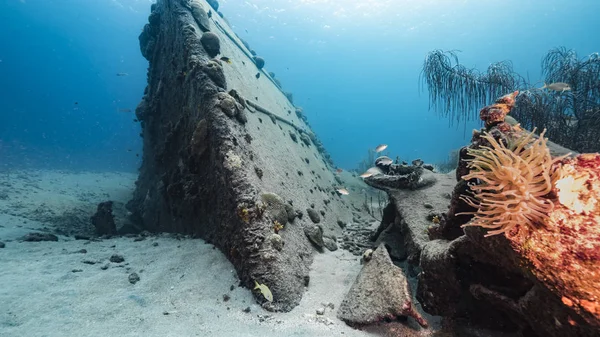 Fartygsvrak Black Sand Vrak Korallrev Karibiska Havet Runt Curacao — Stockfoto
