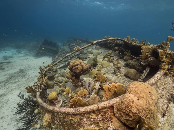 Skeppsvrak Tugboat Saba Grunt Vatten Korallrev Karibiska Havet Runt Curacao — Stockfoto