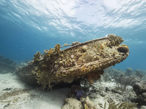 Skeppsvrak Tugboat Saba Grunt Vatten Korallrev Karibiska Havet Runt Curacao — Stockfoto